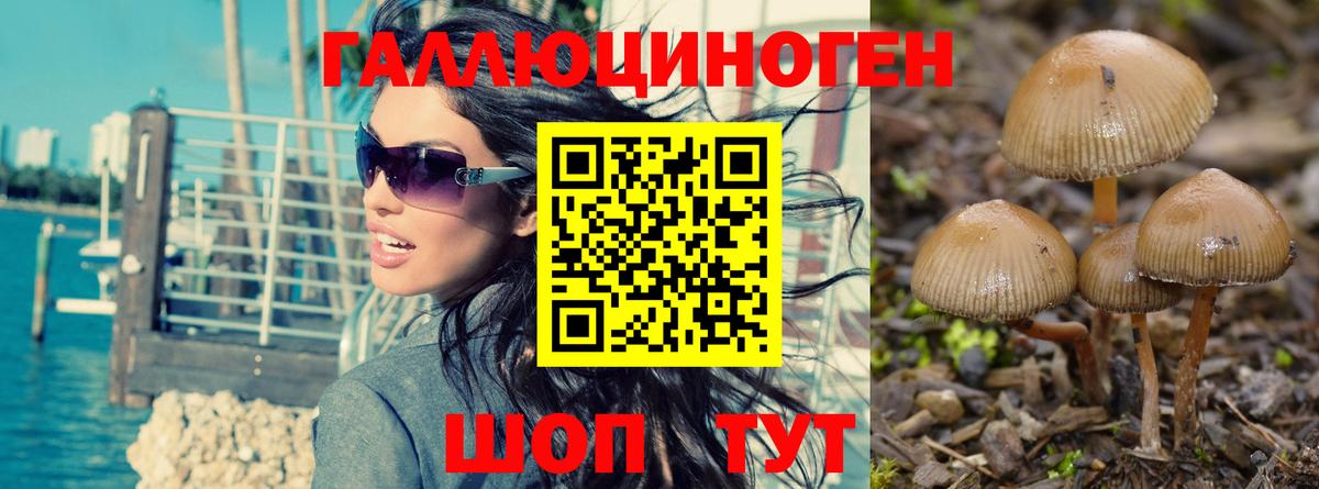 Псилоцибиновые грибы GOLDEN TEACHER  Артём 