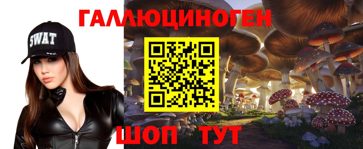 Галлюциногенные грибы Cubensis  Вход с VPN  Артём  Галлюциногенные грибы GOLDEN TEACHER 